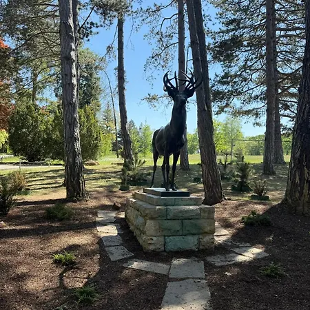 Appartement Casa Antic Grosse Moderne 75qm Direkt Im Zentrum Wlan Ist Kostenlos 1-6 Personen