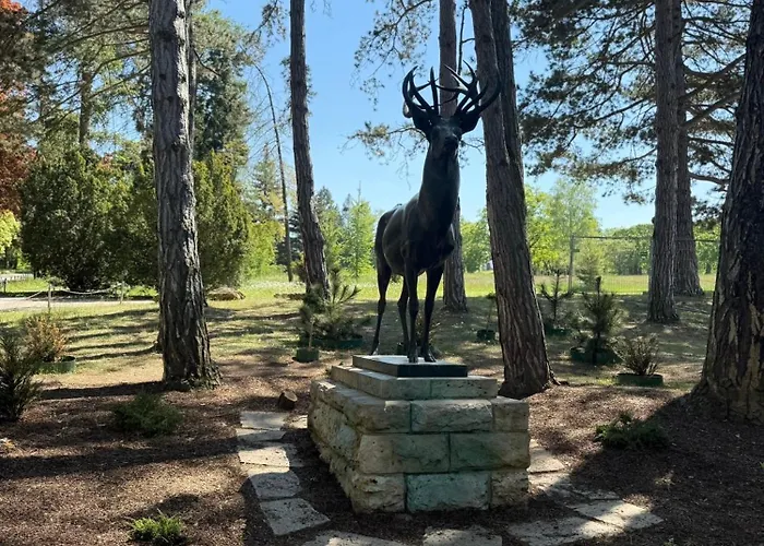 Appartement Casa Antic Grosse Moderne 75qm Direkt Im Zentrum Wlan Ist Kostenlos 1-6 Personen